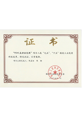 2005年1月PCAS灰砂活化劑獲“九五、十五”科技成果獎(jiǎng)